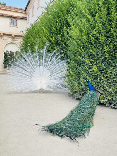 Der romantische Wallenstein-Garten.